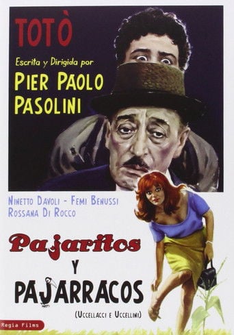 Pajaritos y pajarracos poster