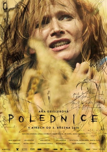 Polednice poster