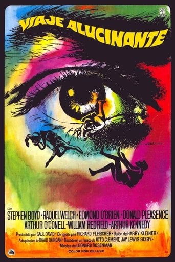 Viaje alucinante poster