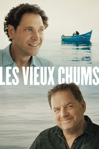 Les vieux chums poster