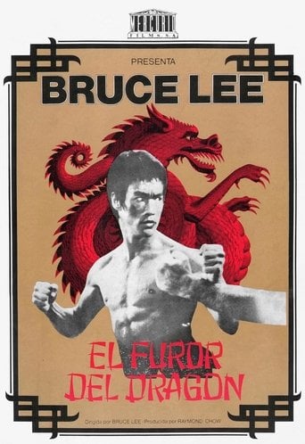 El furor del dragón poster