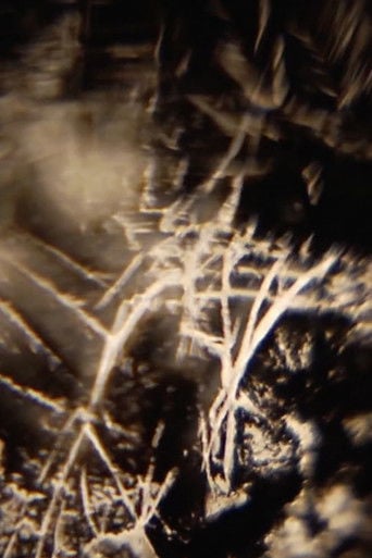 Ken Jacobs / Rick Reed & Tara Bhattacharya @ The Nervous Magic Lantern Festival poster