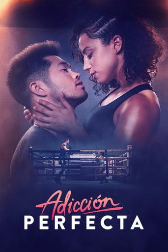 Adicción perfecta poster