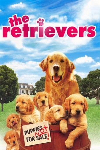 Un retriever y seis más poster