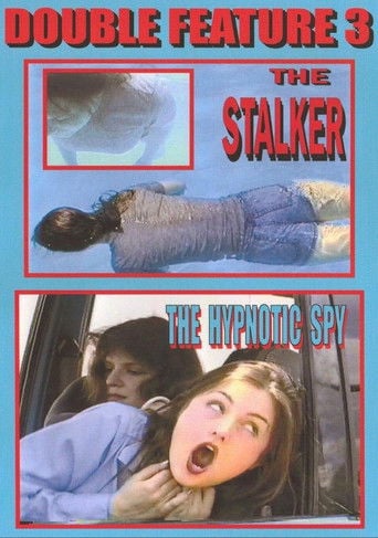 The Stalker poster