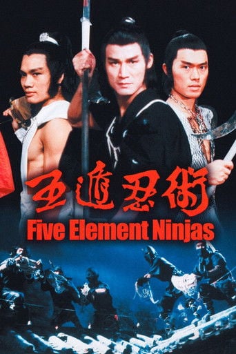 FIVE ELEMENT NINJA poster