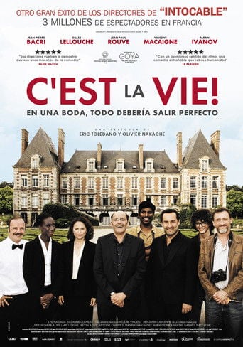 C'est la vie poster