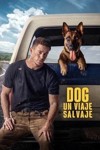 Dog - Un viaje salvaje poster