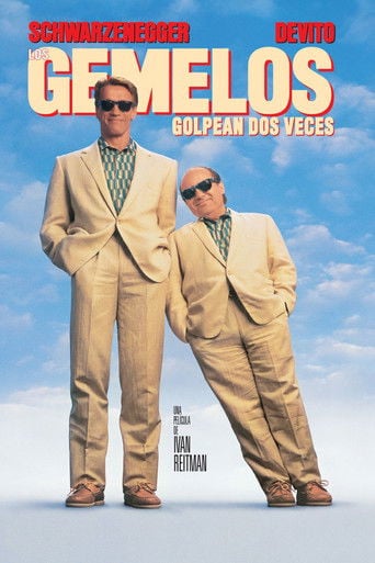 Los gemelos golpean dos veces poster