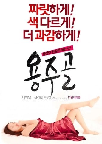 용주골 poster