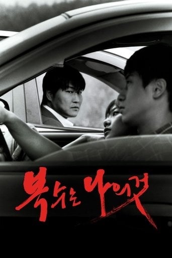 Sympathy for Mr. Vengeance poster
