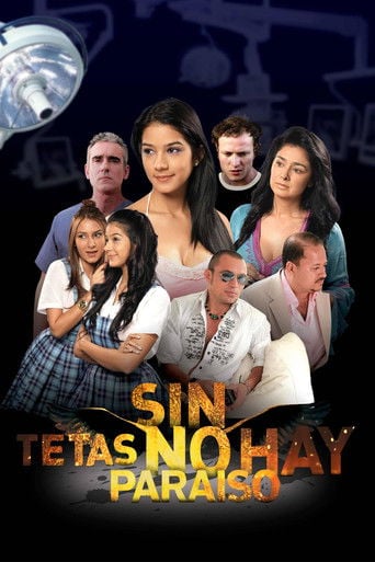 Sin tetas no hay paraíso poster