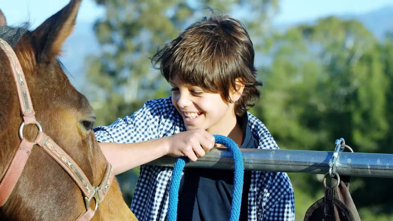 Ace & the Christmas Miracle