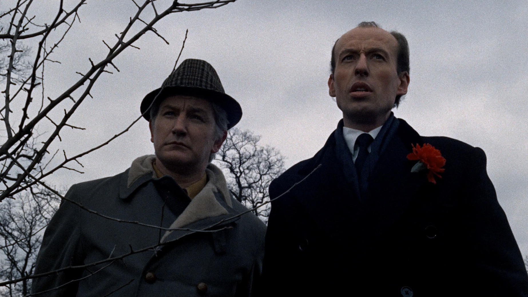 The Beast in the Cellar