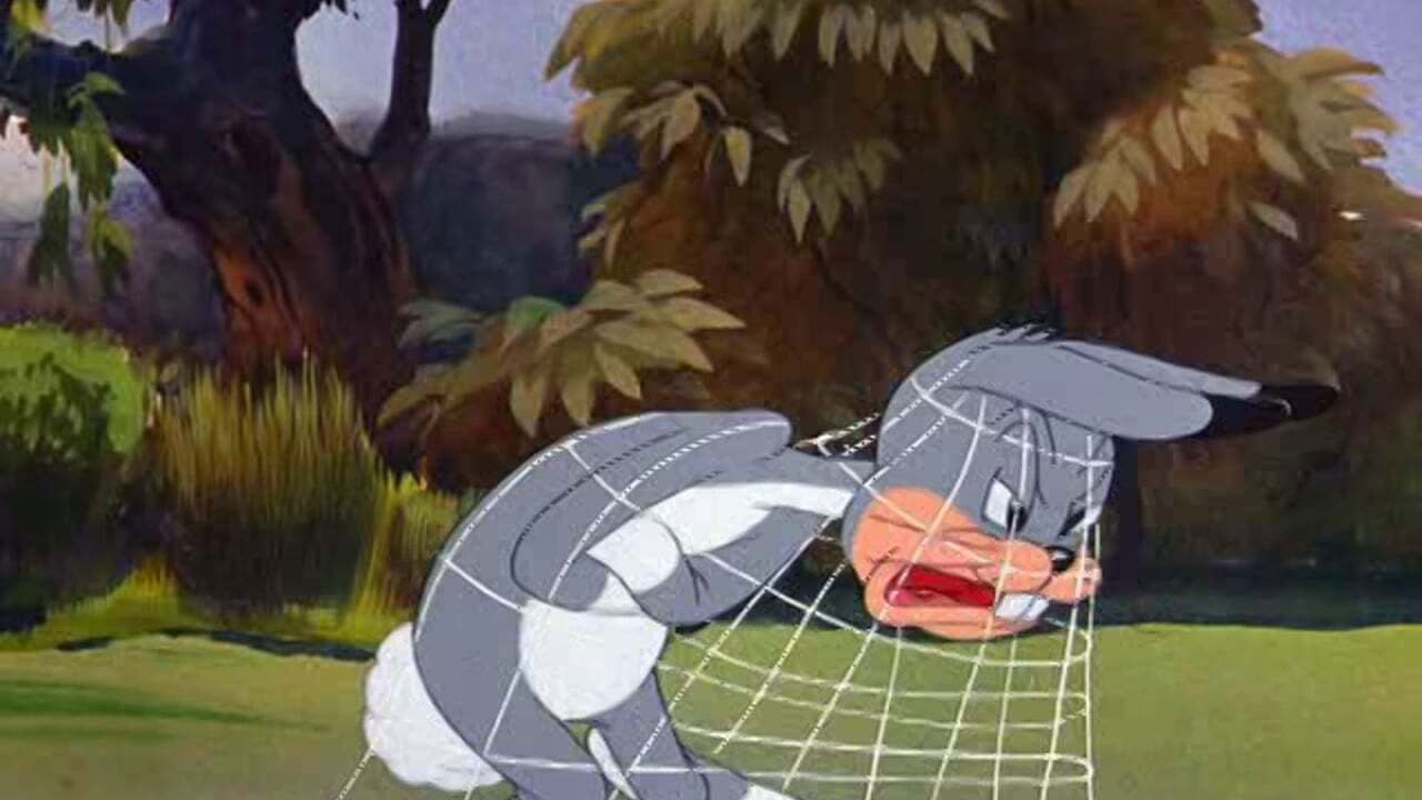 Elmer's Candid Camera