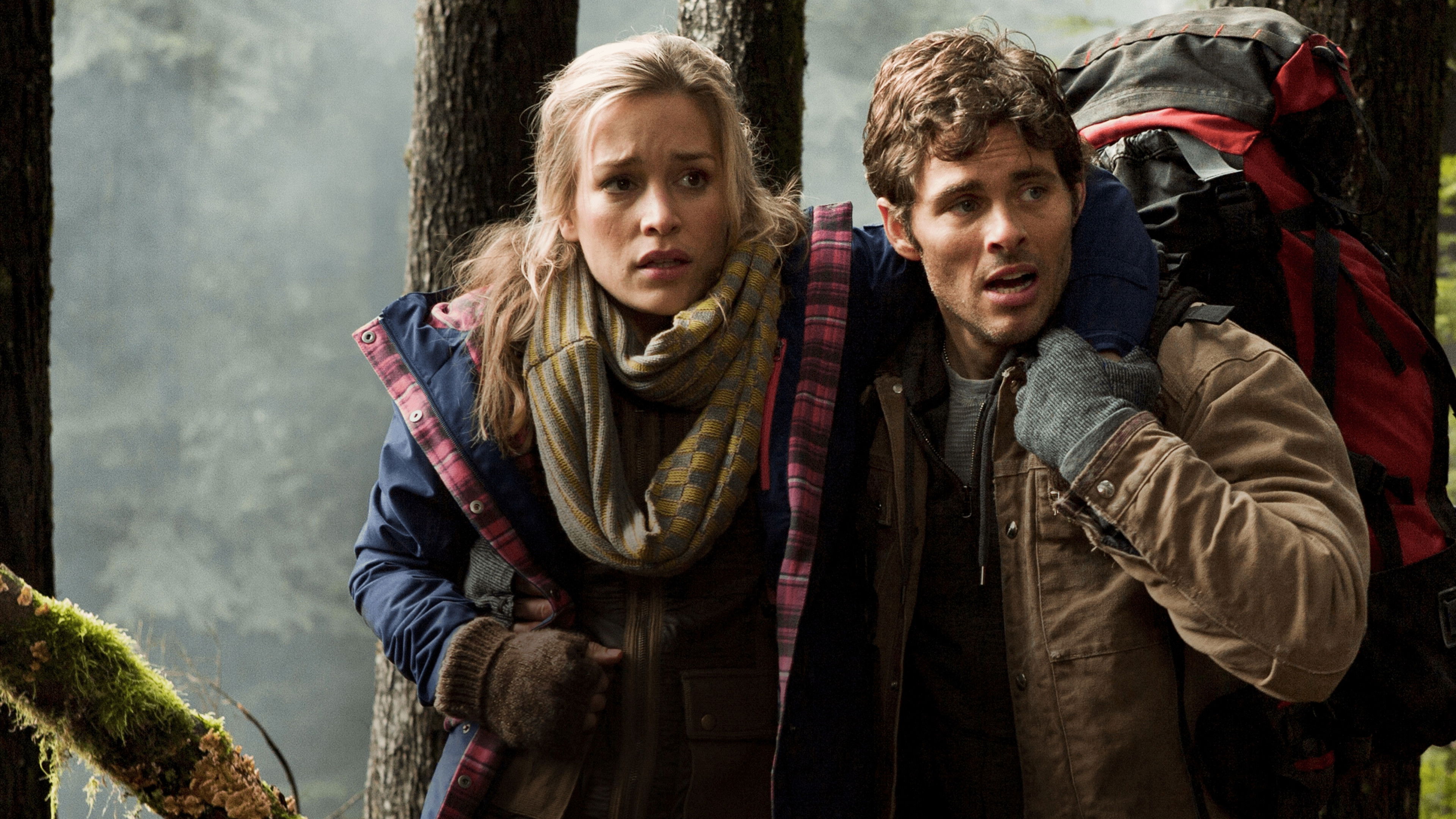 Into the Grizzly Maze