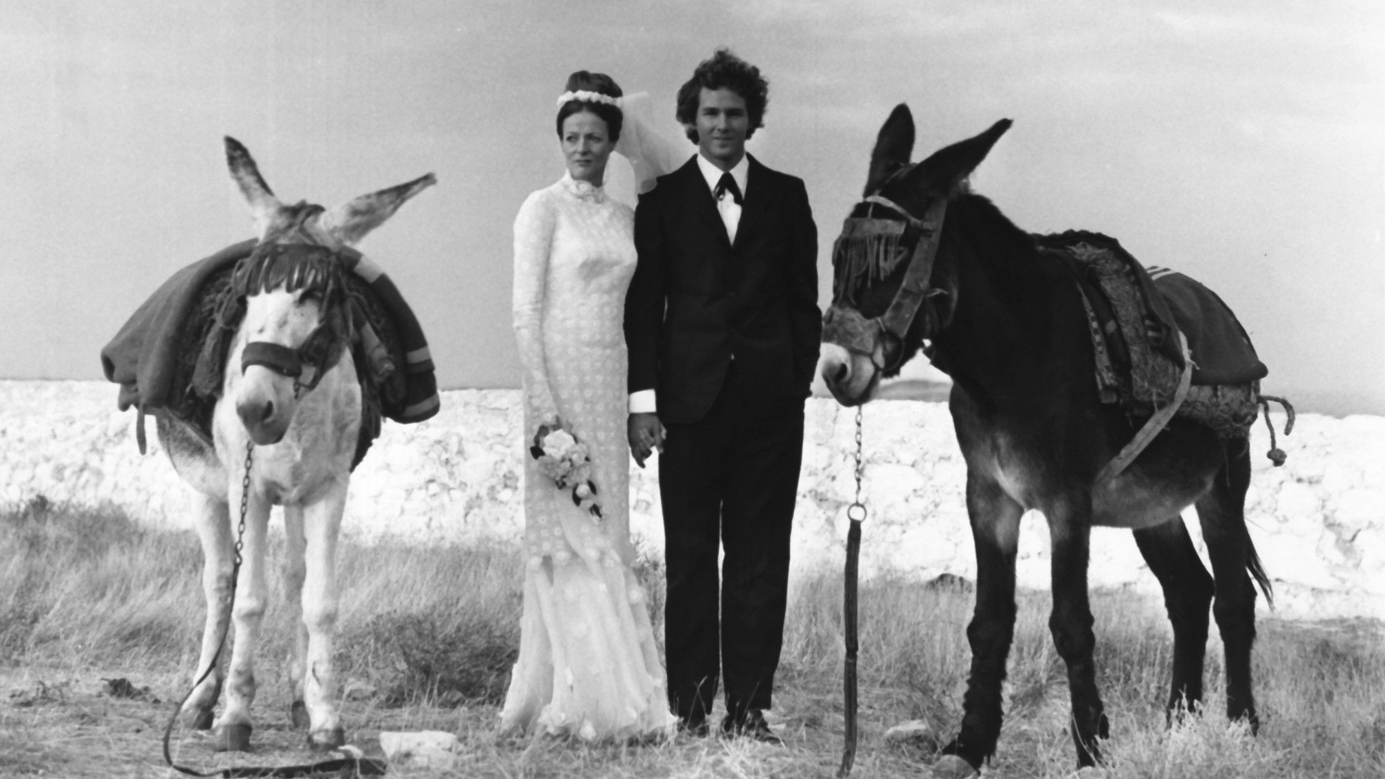 Love and Pain and the Whole Damn Thing