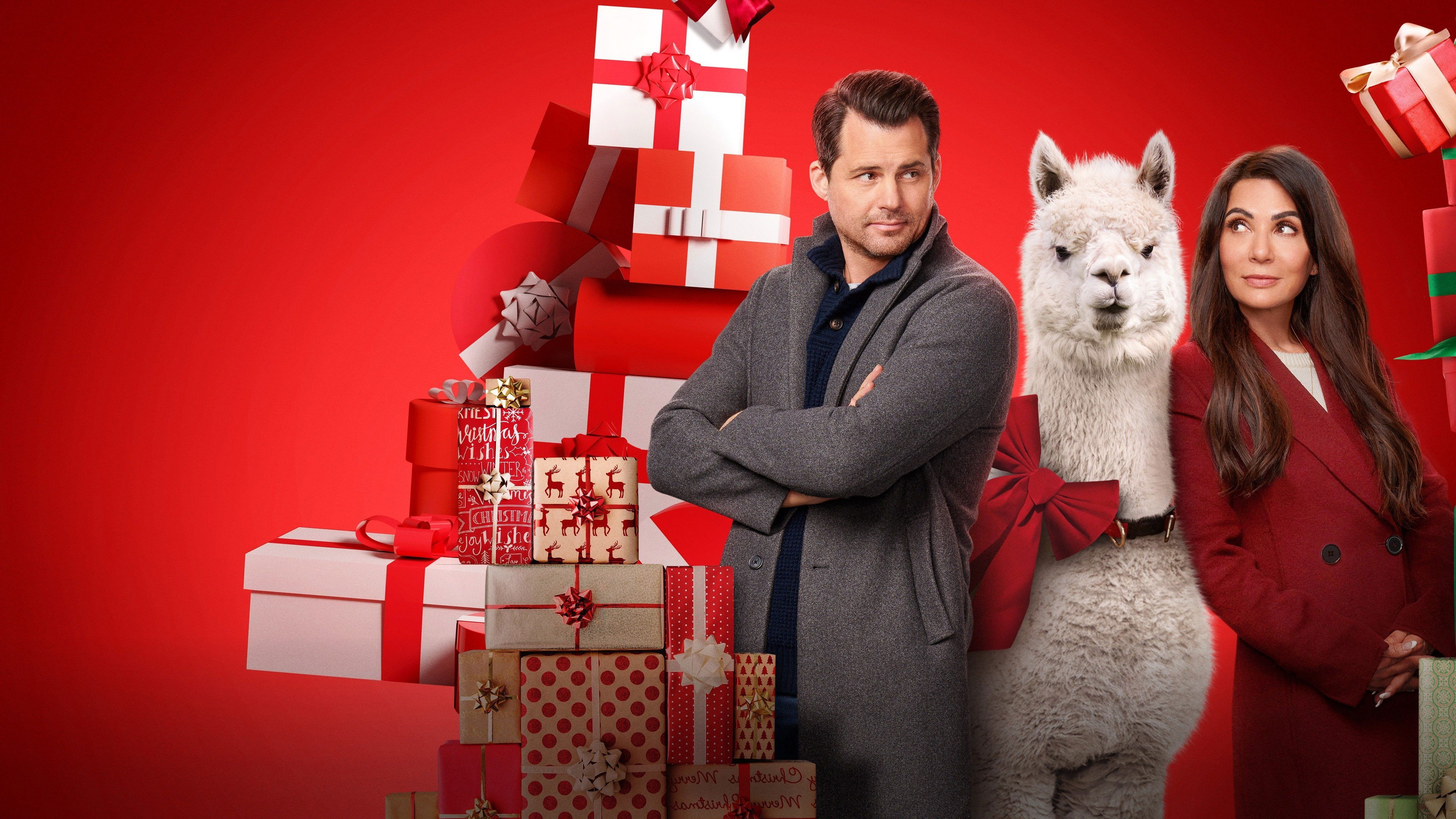 We Wish You a Married Christmas