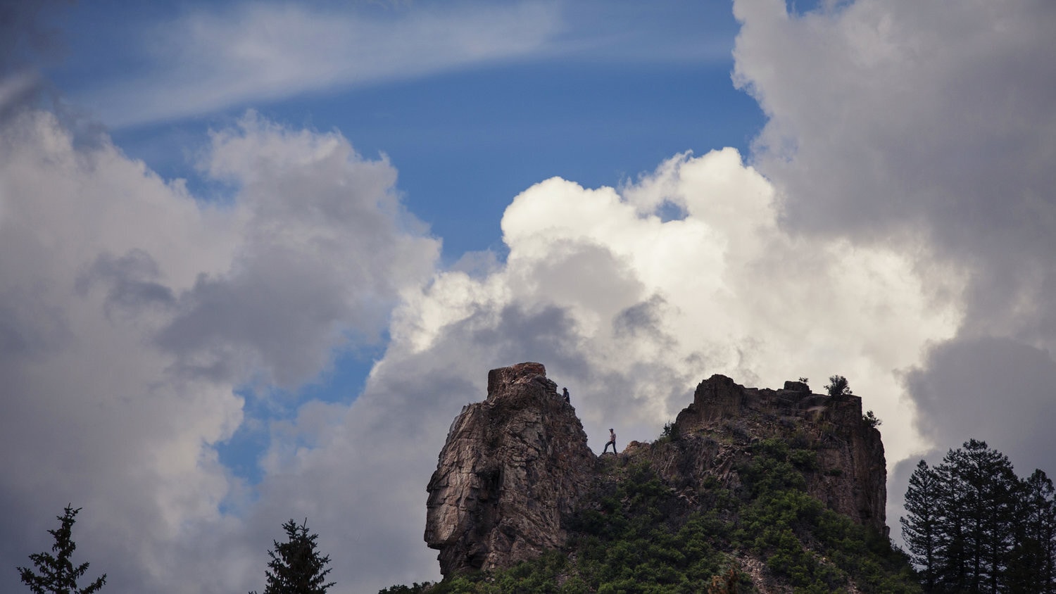 Walden: Life in The Woods