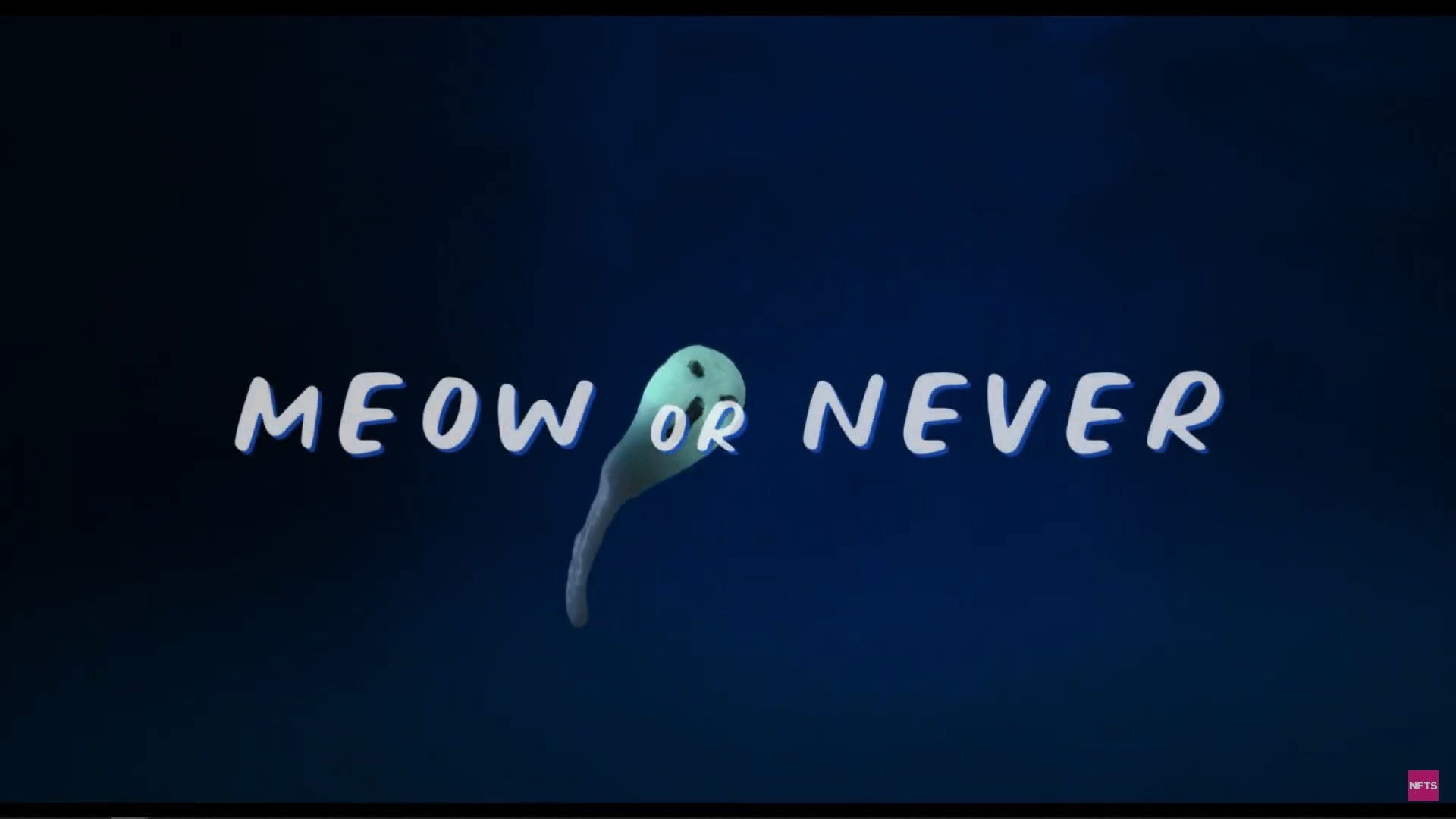 Meow or Never
