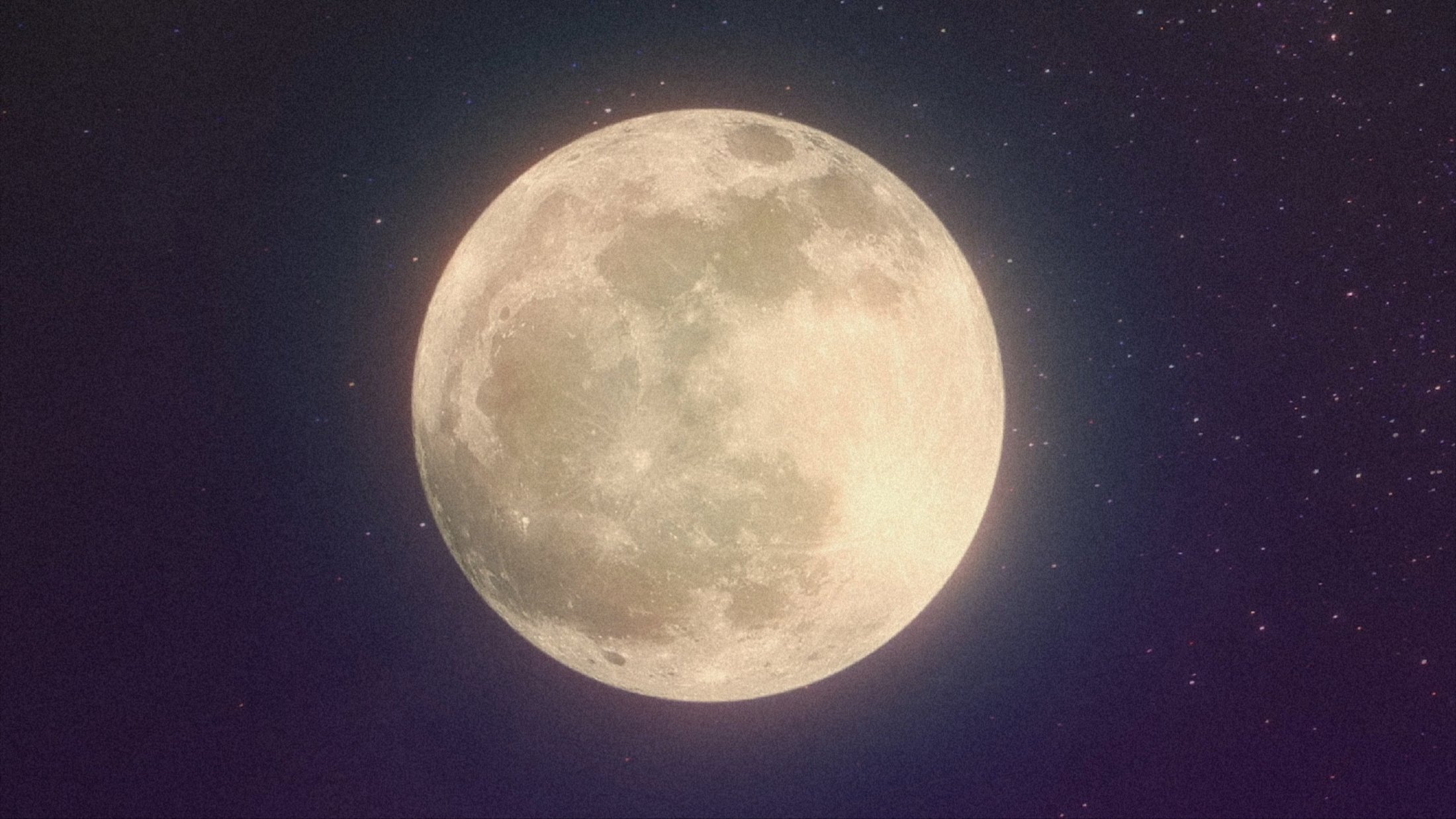 Miraculous World: Shanghai - The Legend of Ladydragon