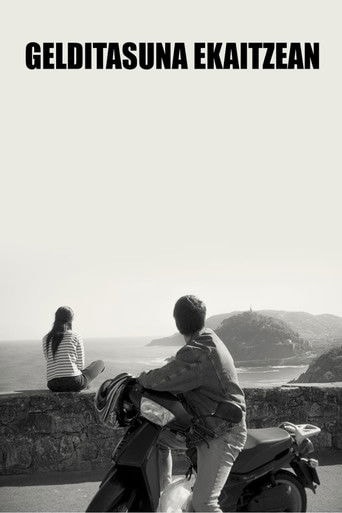 Stillness in the Storm