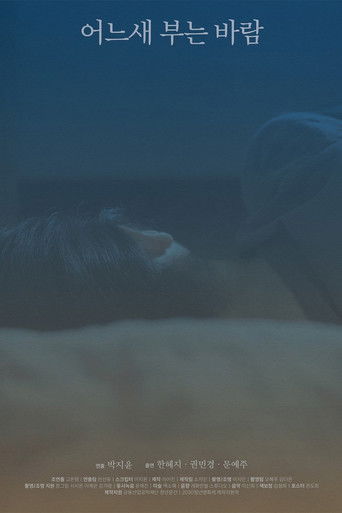 The Consolation of the Wind