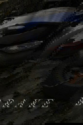 Brake