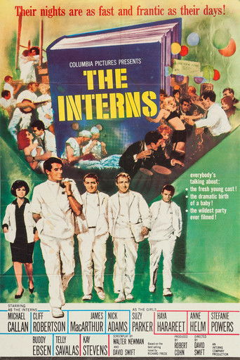 The Interns