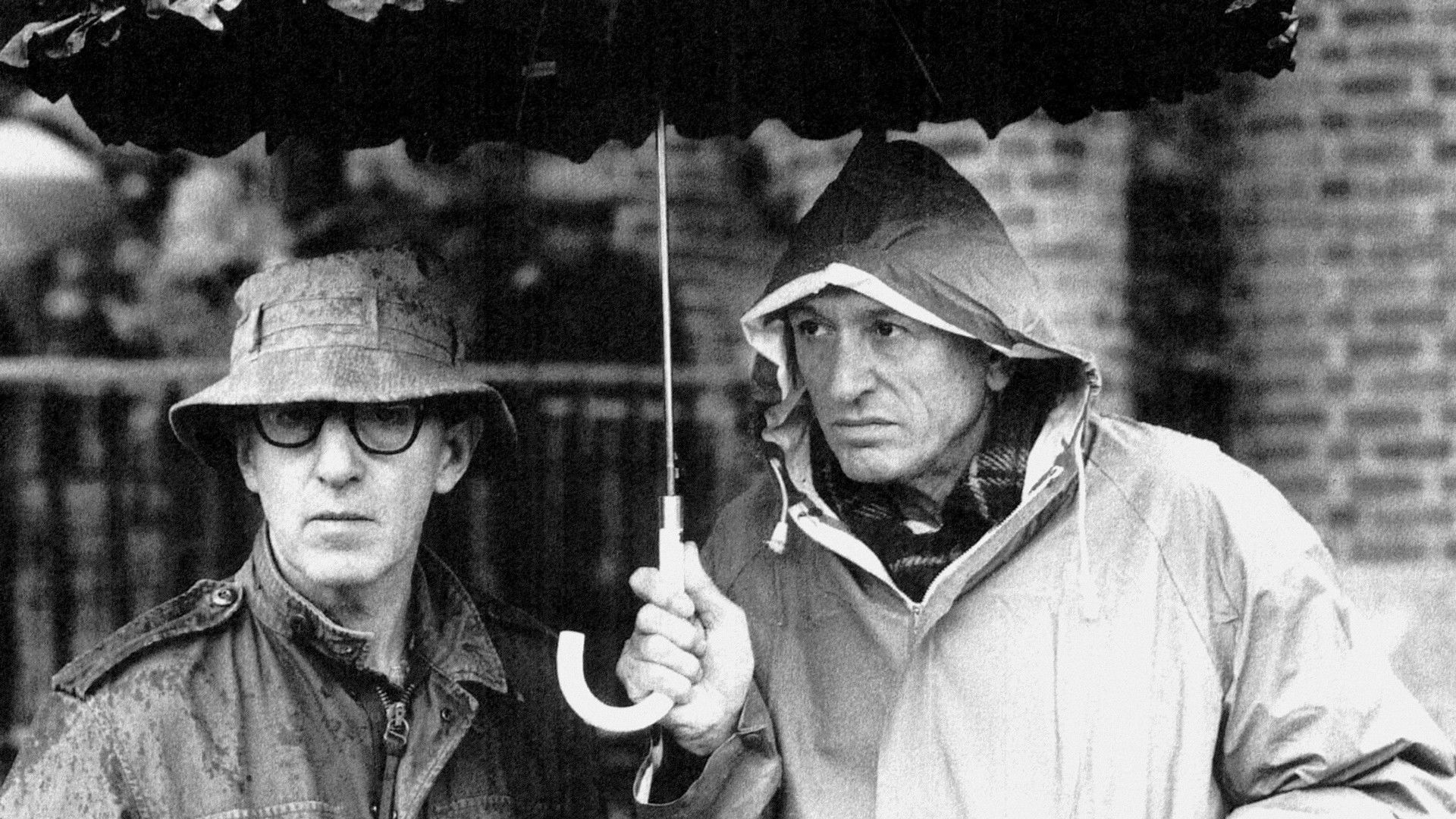 Water and Sugar – Carlo Di Palma: The Colours of Life