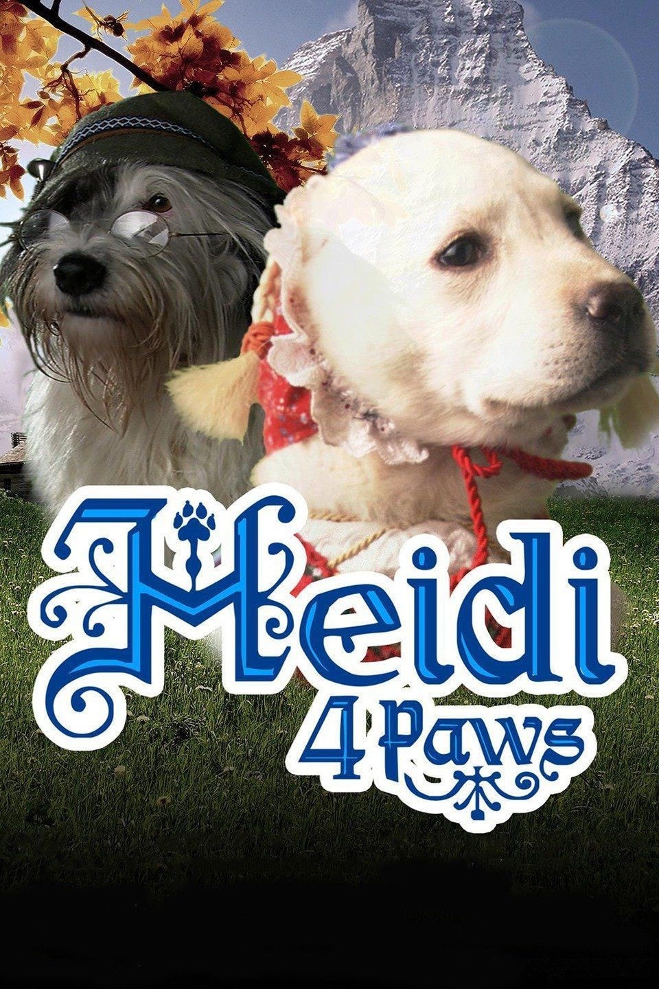 Heidi 4 Paws