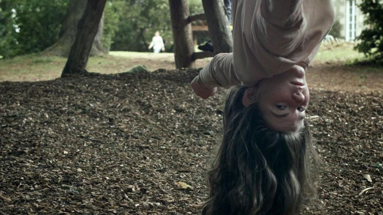 The Hexagonal Hive and a Mouse in a Maze