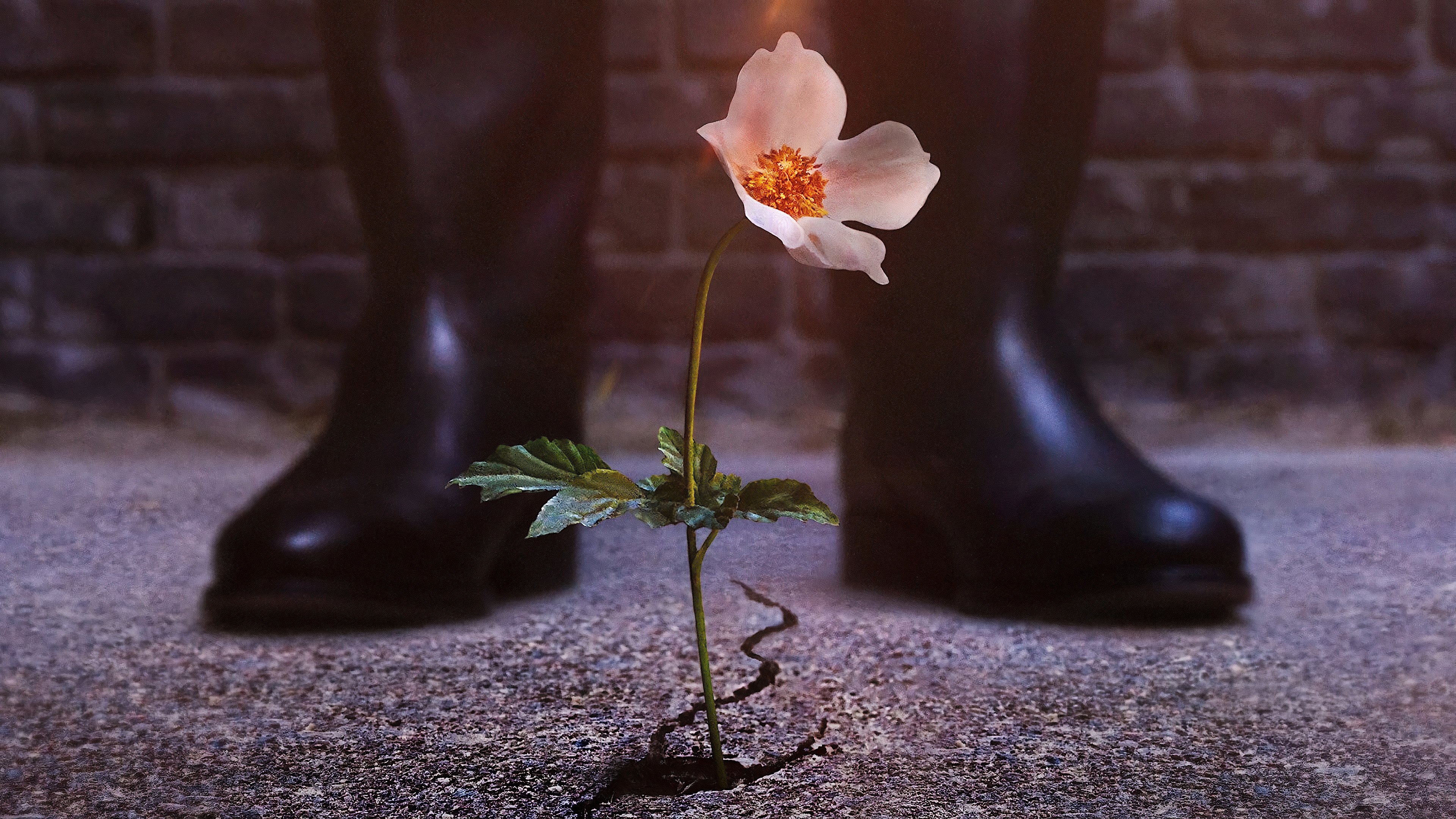 El hombre en el castillo