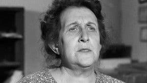 El caso del caballo del bailarín aficionado