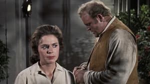 La historia de Phillip Diedesheimer