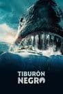 Tiburón negro