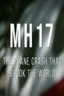 MH17: The Plane Crash That Shook The World
