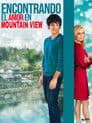 Encontrando el amor en Mountain View