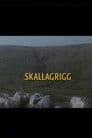 Skallagrigg